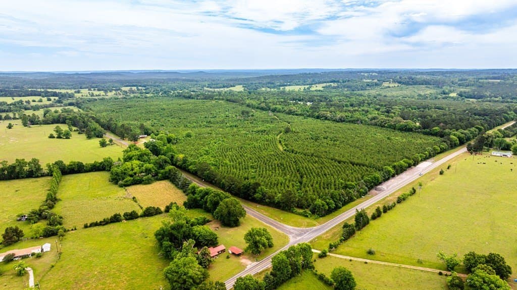 185.13 acres in ANDERSON County - photo 6