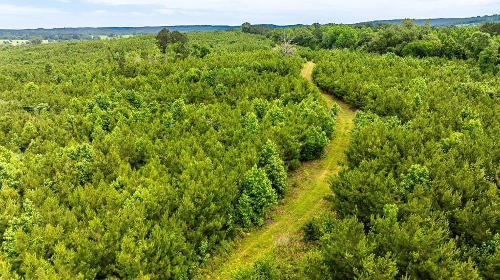 185.13 acres in ANDERSON County - photo 19