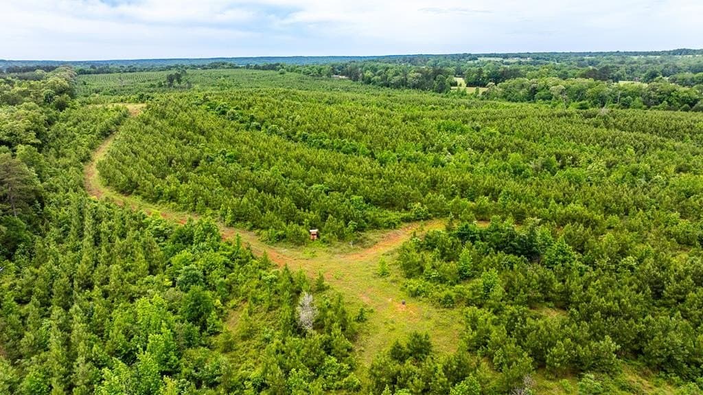 185.13 acres in ANDERSON County - photo 13