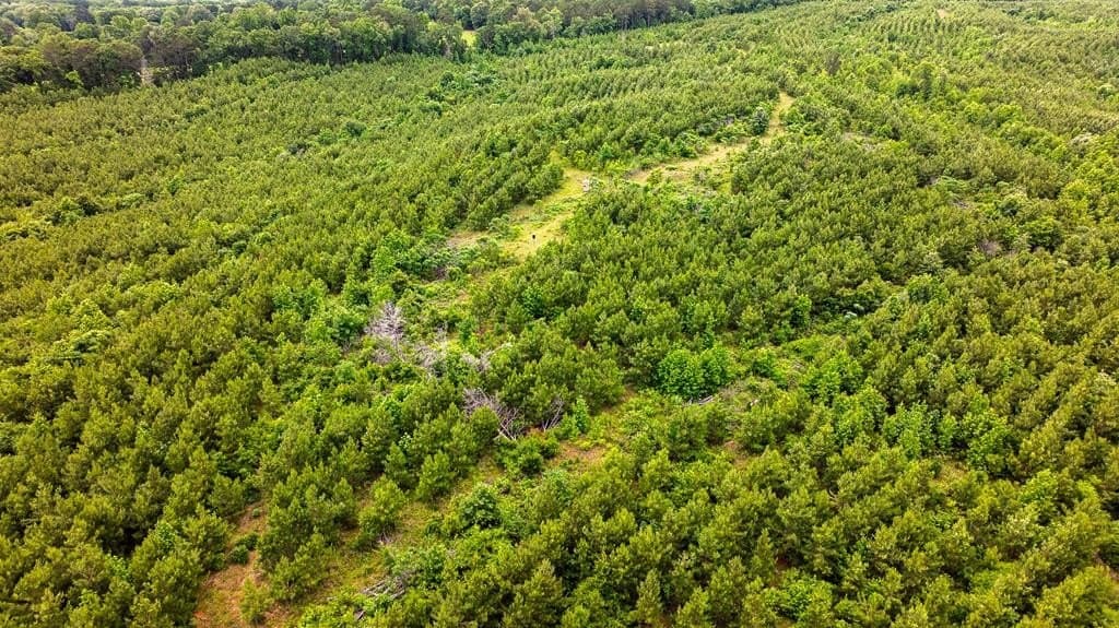 185.13 acres in ANDERSON County - photo 16