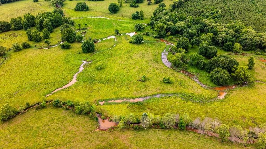 185.13 acres in ANDERSON County - photo 10