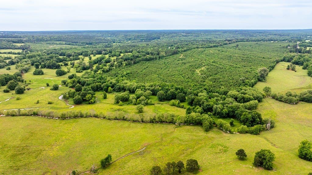 185.13 acres in ANDERSON County gallery image 3