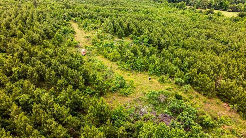 185.13 acres in ANDERSON County - photo 9
