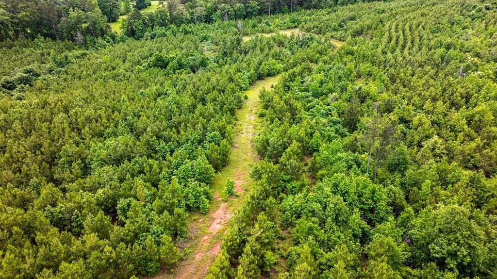 185.13 acres in ANDERSON County - photo 21