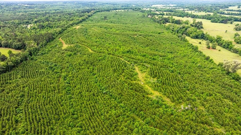 185.13 acres in ANDERSON County - photo 17