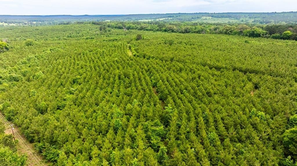 185.13 acres in ANDERSON County - photo 20