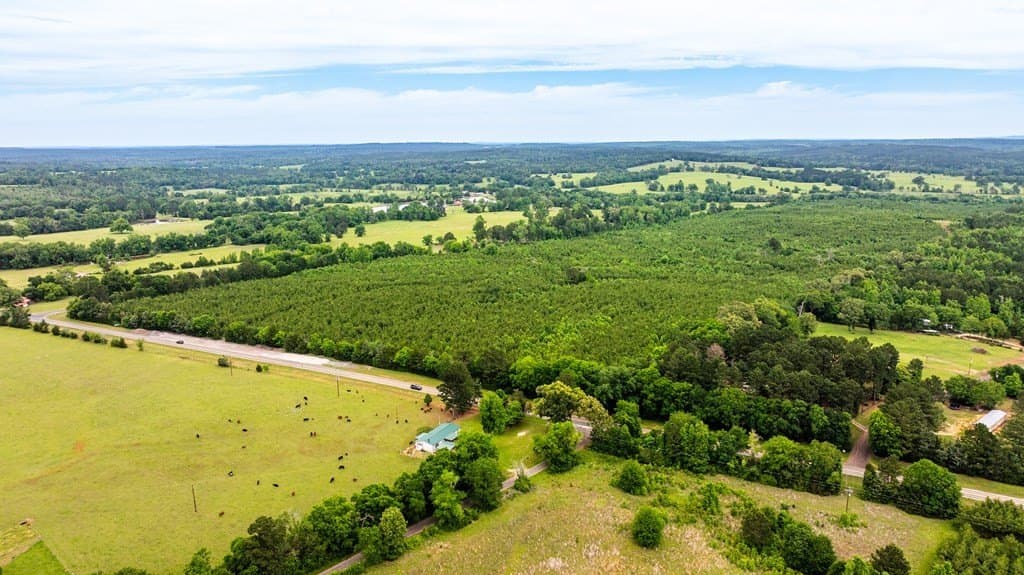 185.13 acres in ANDERSON County gallery image 4