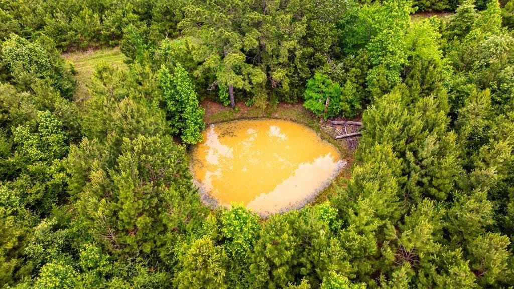 185.13 acres in ANDERSON County - photo 12