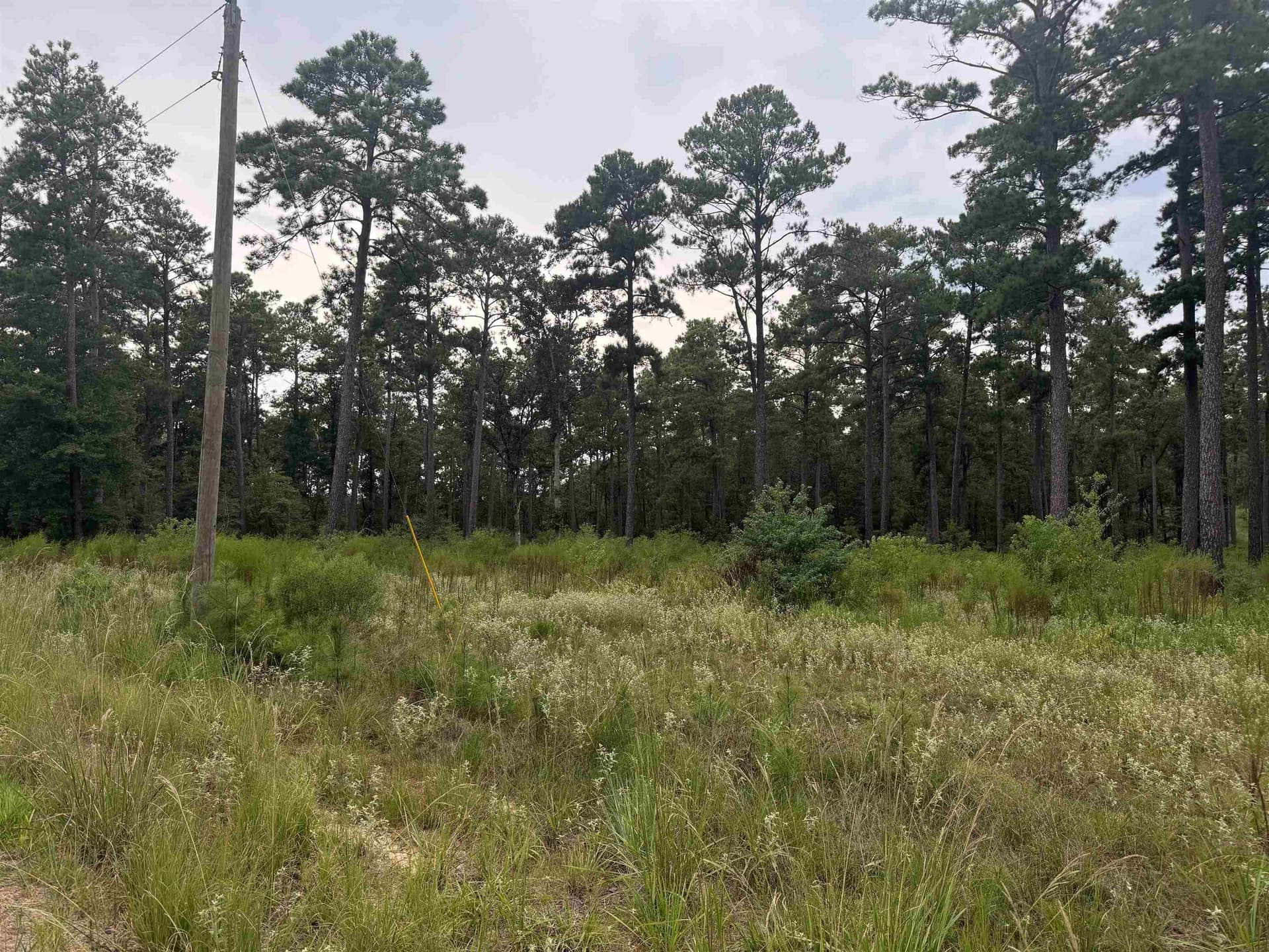 1 acres in Texas County - photo 8