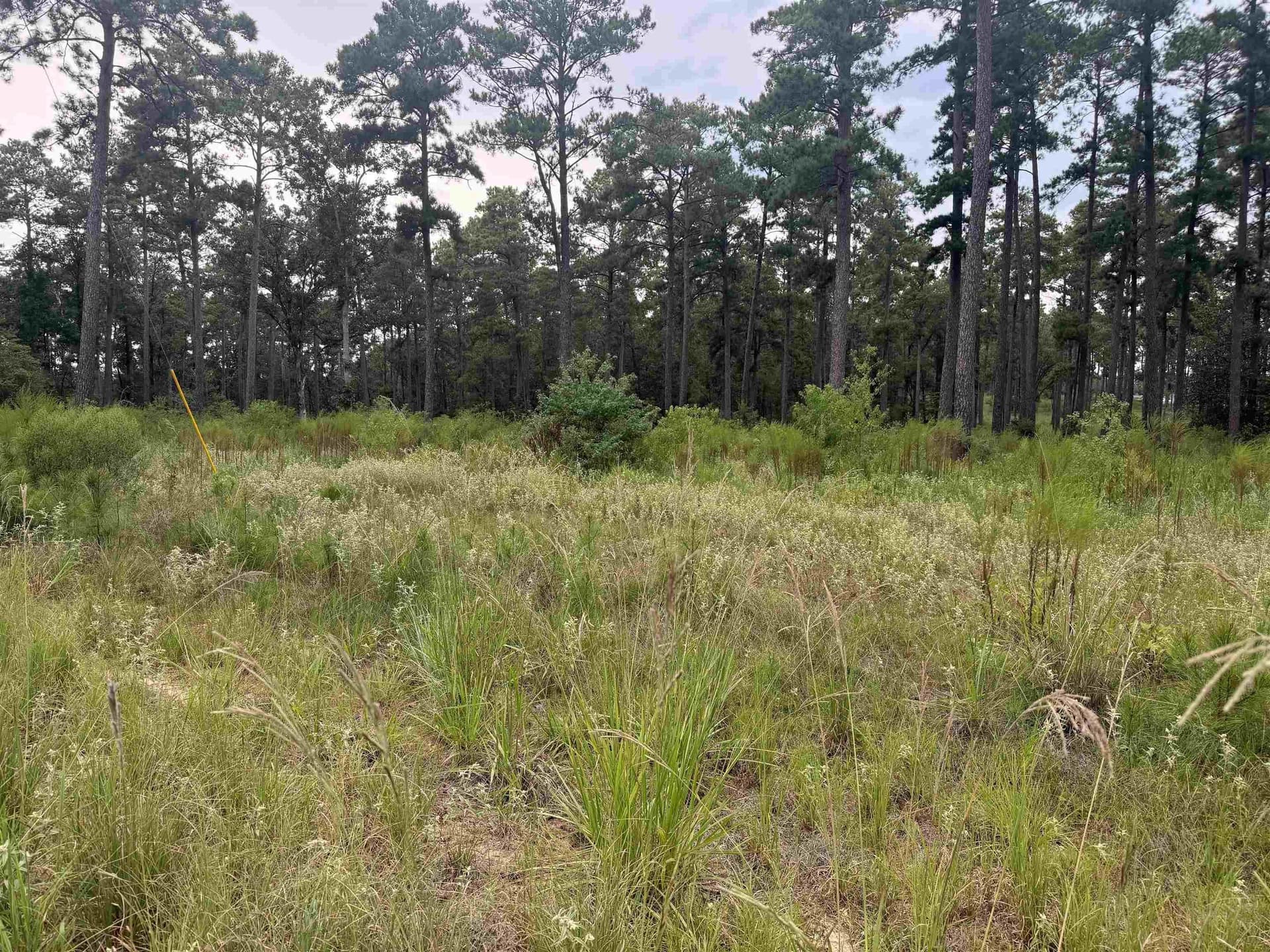 1 acres in Texas County