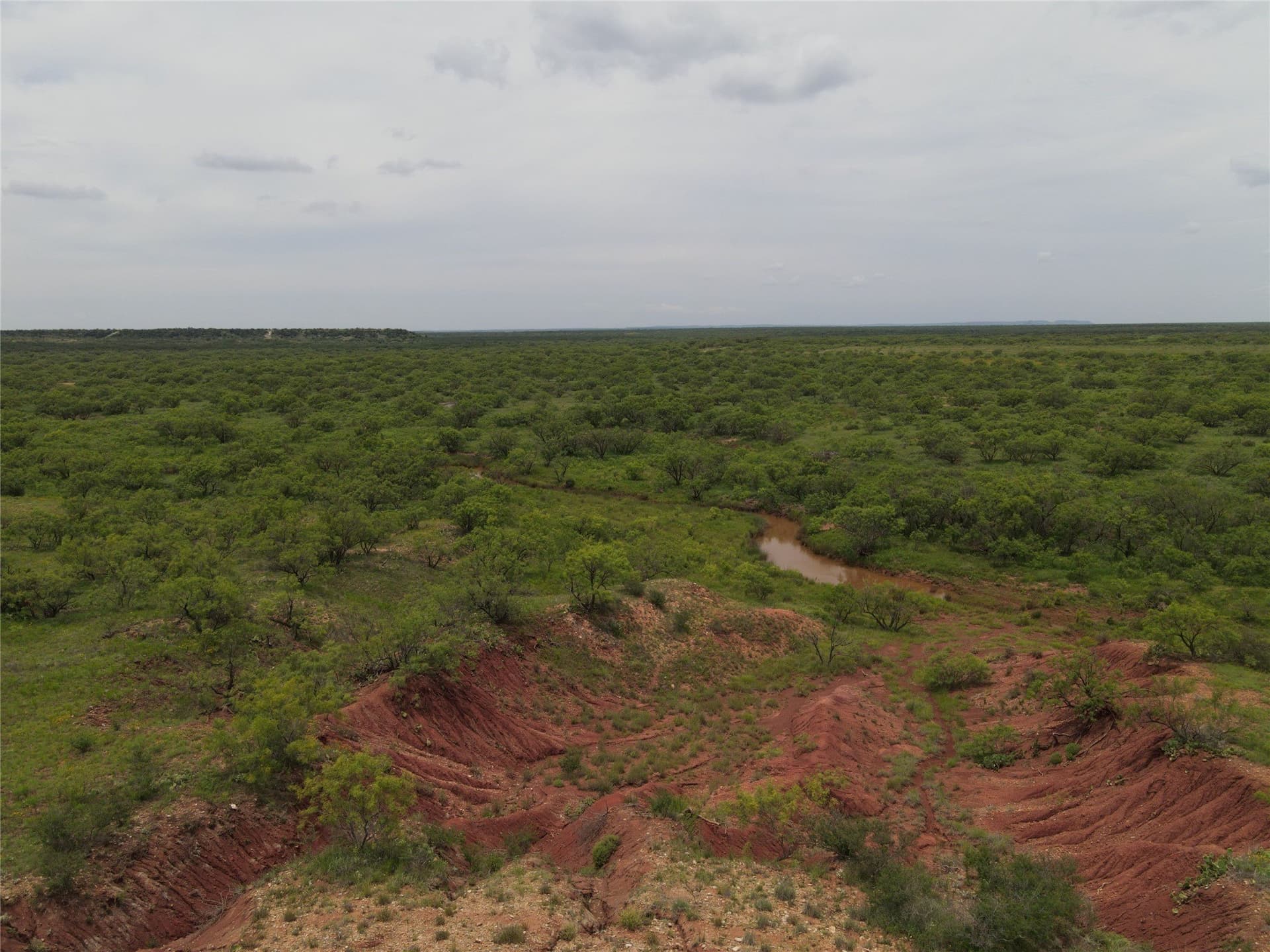 764 acres in Runnels County - photo 6