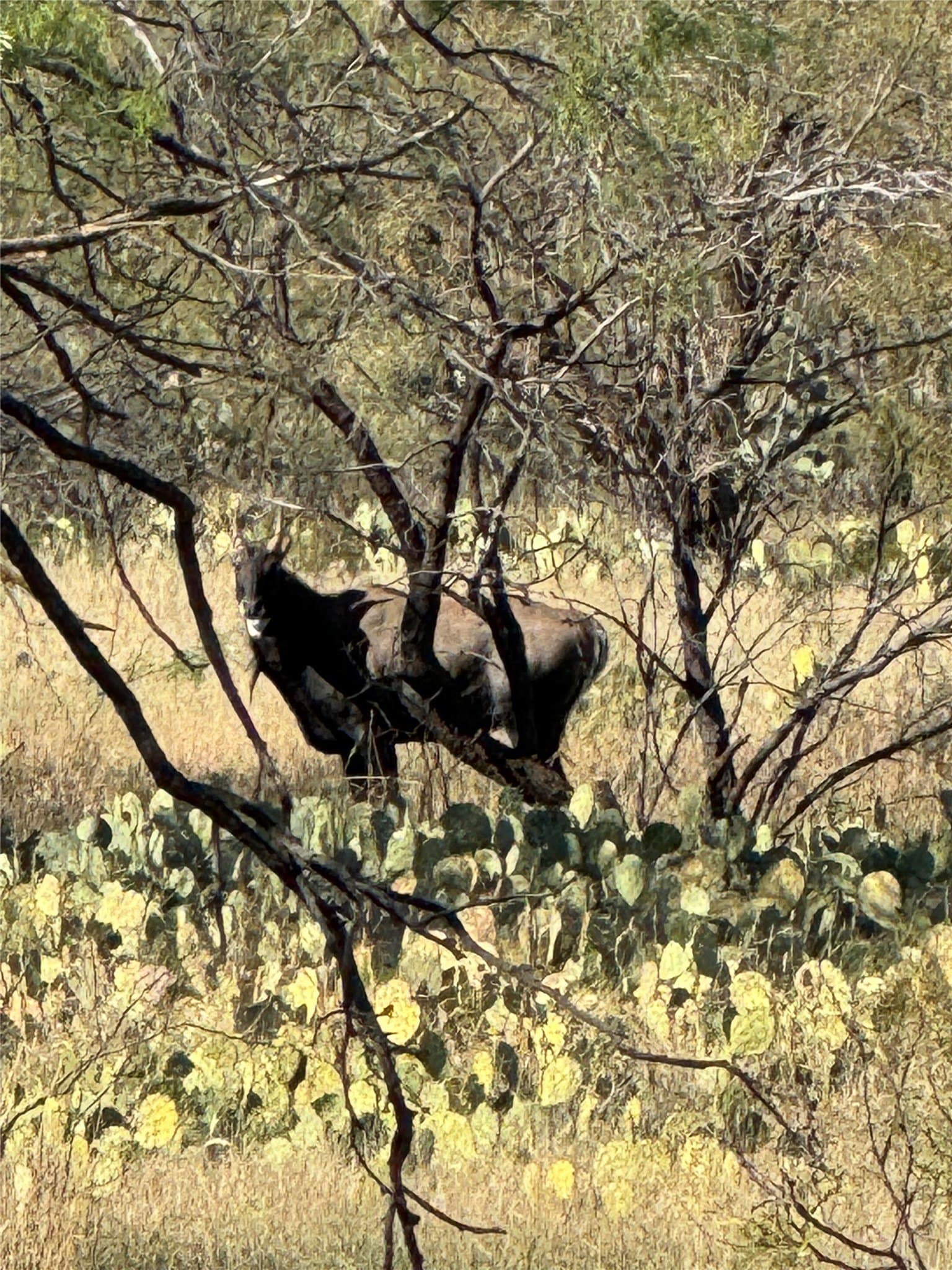 764 acres in Runnels County - photo 23