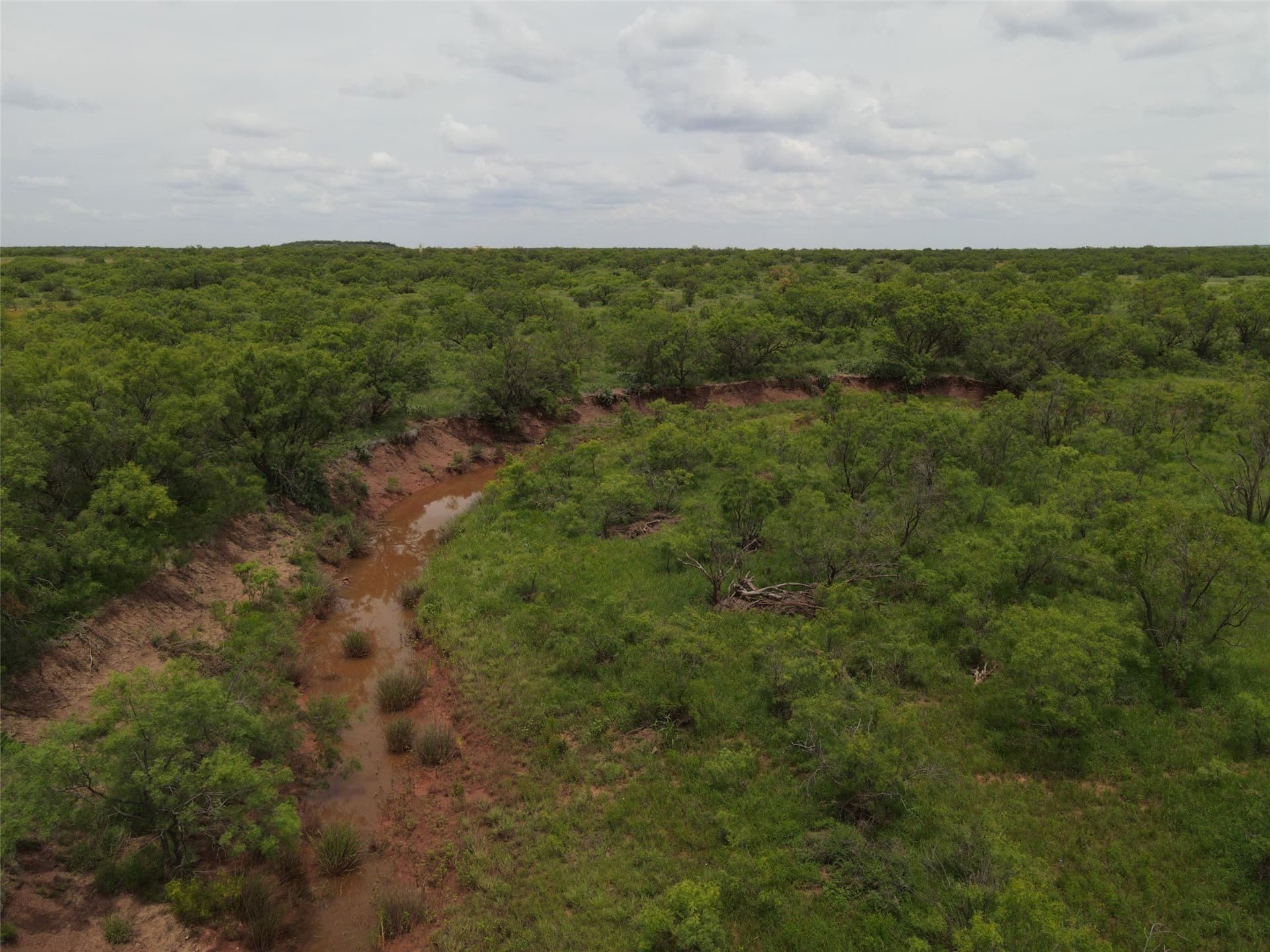764 acres in Runnels County - photo 9