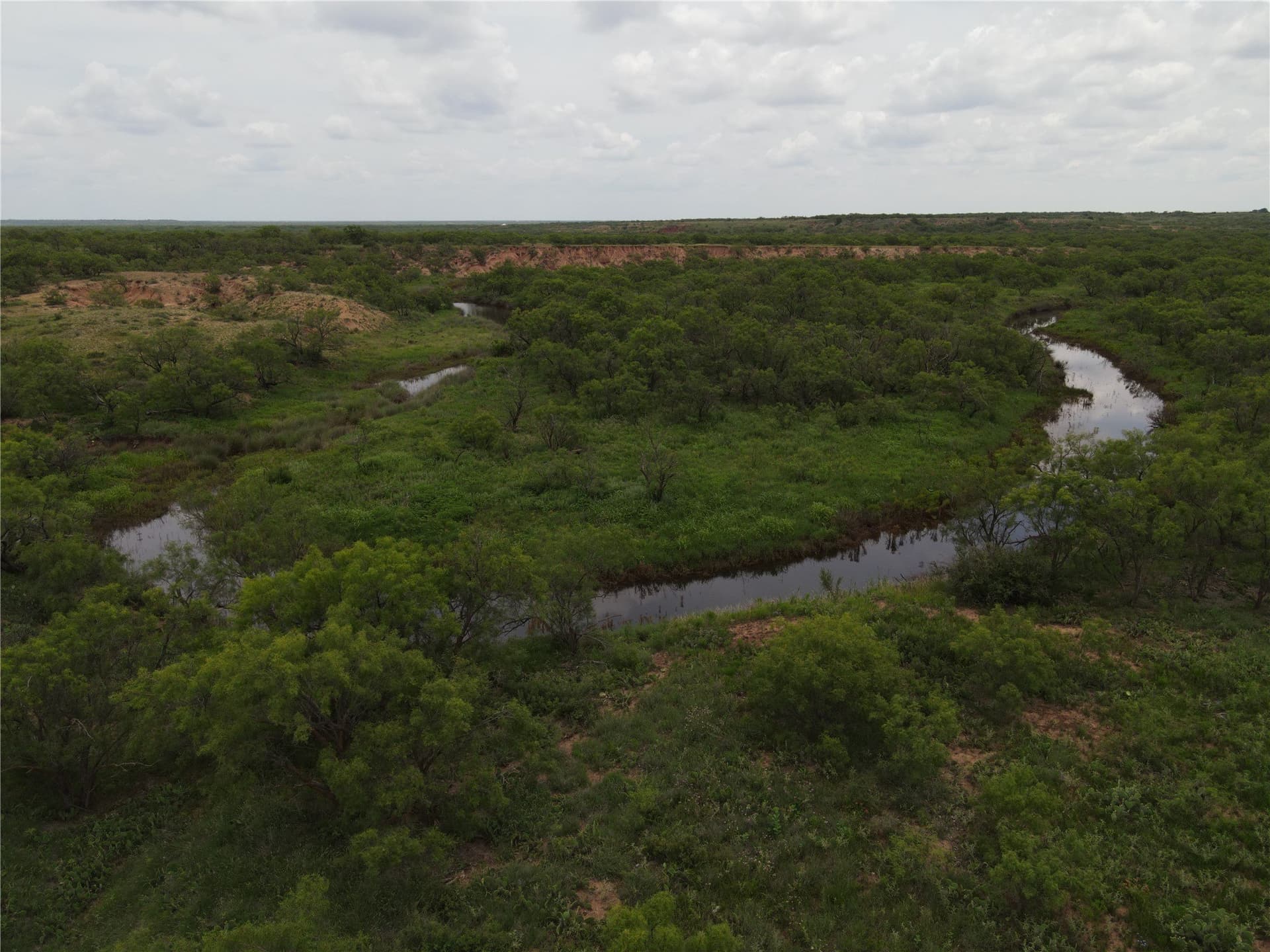 764 acres in Runnels County - photo 19