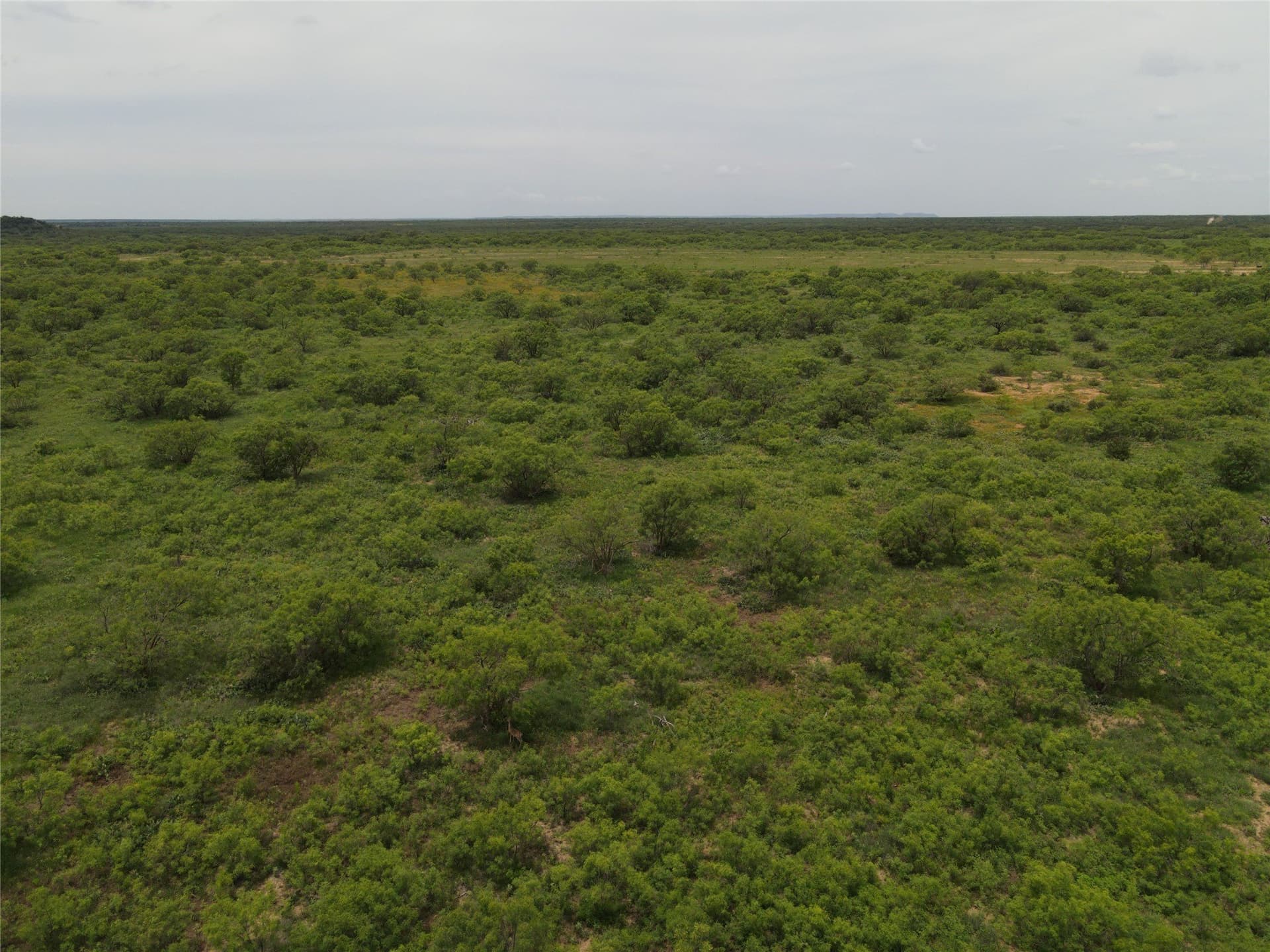764 acres in Runnels County - photo 10