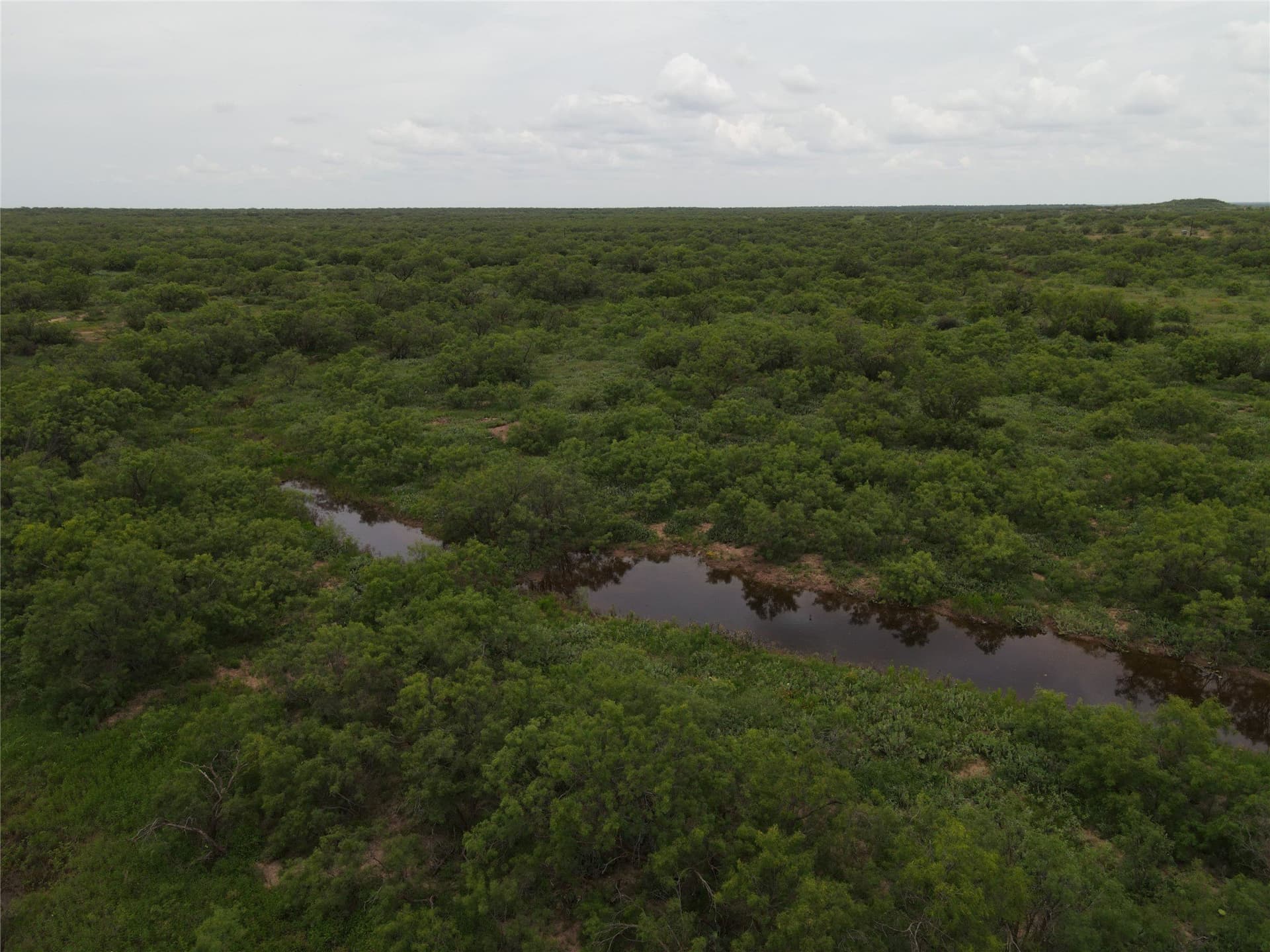 764 acres in Runnels County - photo 13