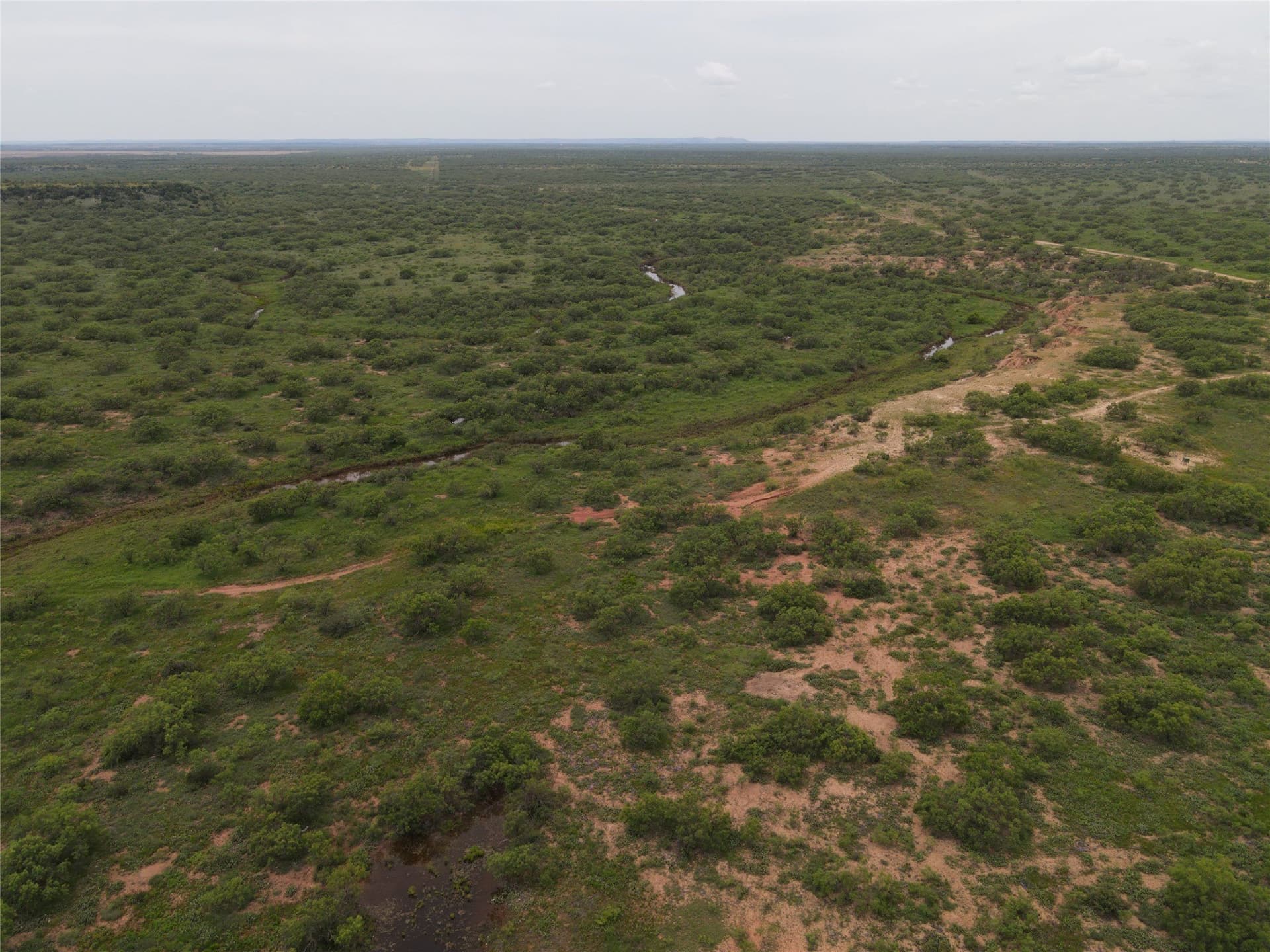 764 acres in Runnels County - photo 16