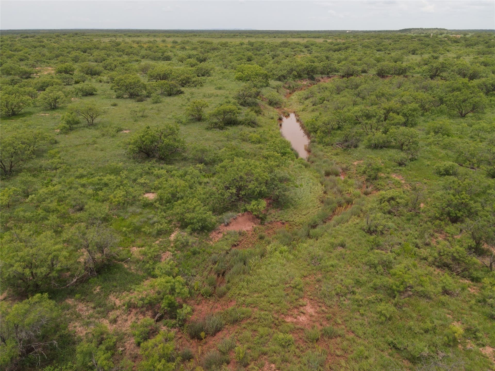 764 acres in Runnels County - photo 7