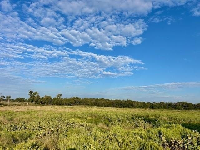 20 acres in Limestone County gallery image 2