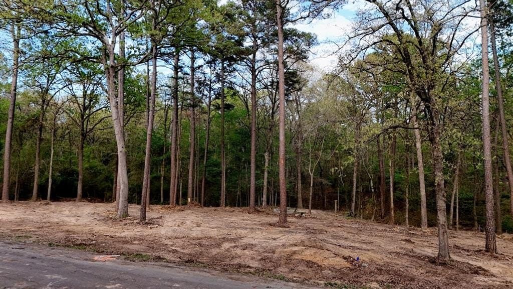 1.5 acres in Franklin (TX) County gallery image 3