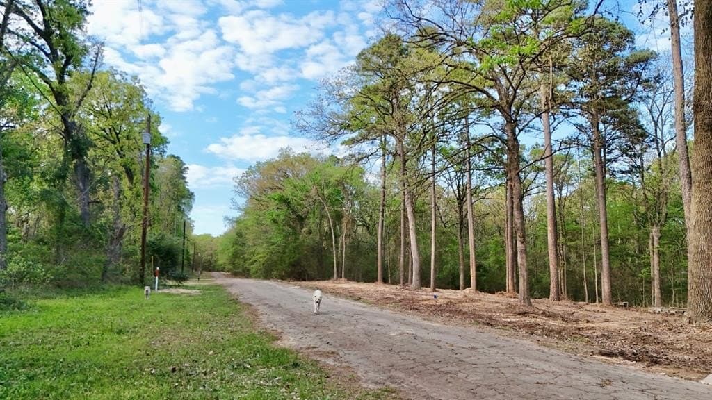 1.5 acres in Franklin (TX) County gallery image 4