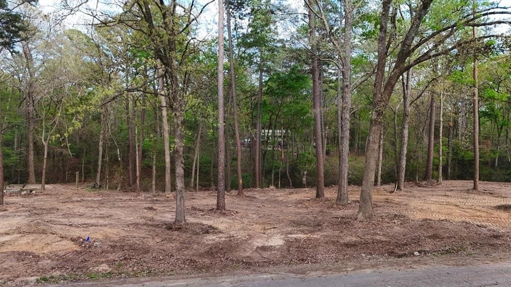 1.5 acres in Franklin (TX) County gallery image 2