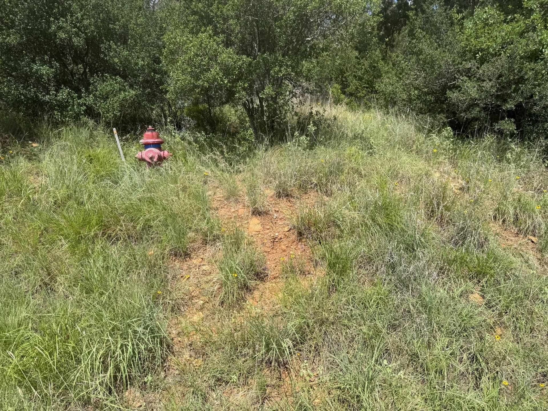 0.25 acres in Llano County - photo 25