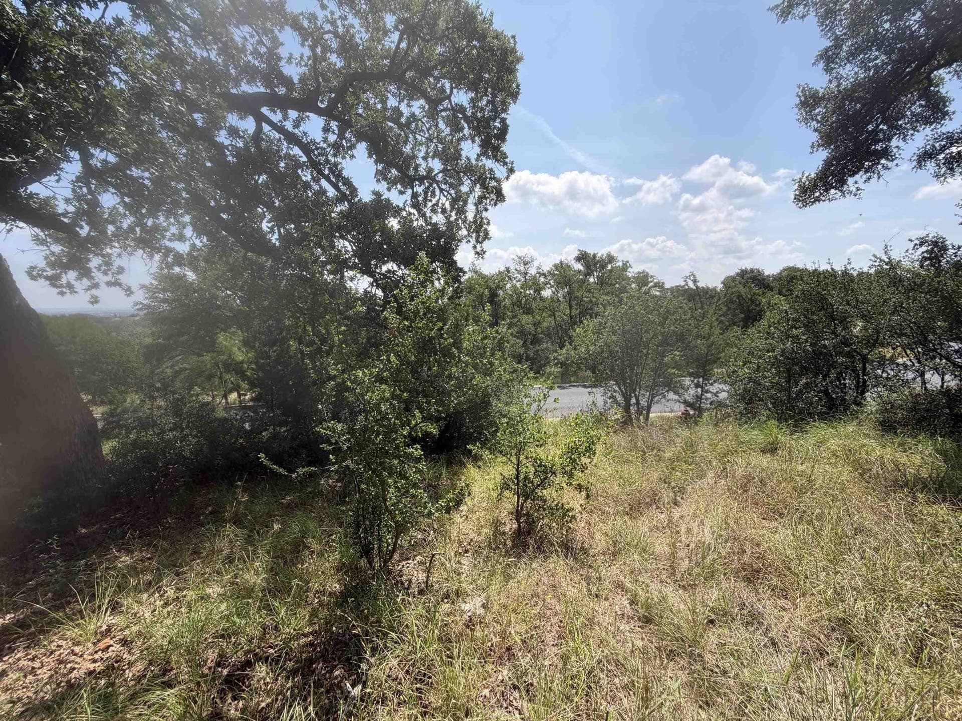 0.25 acres in Llano County - photo 9