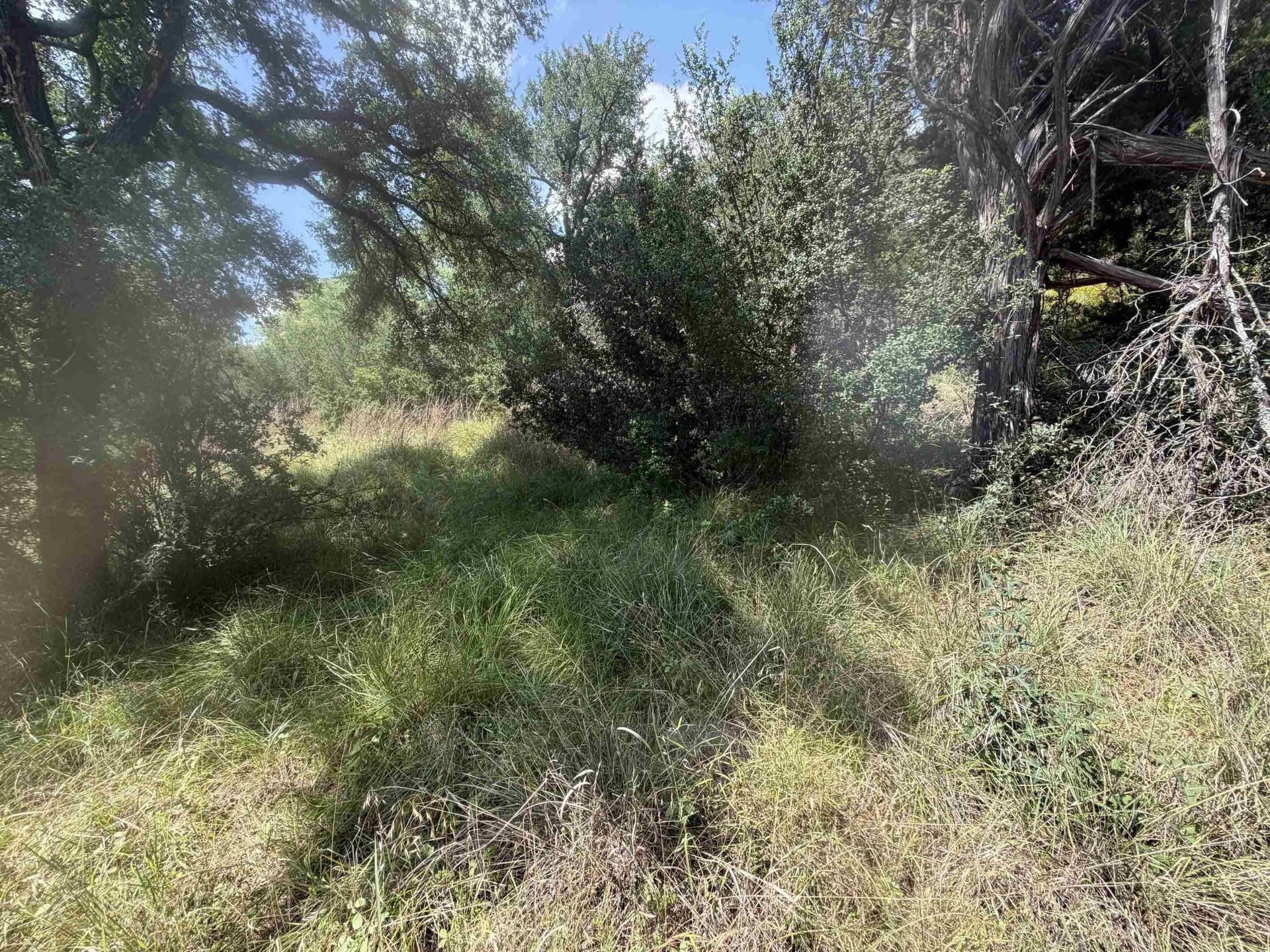 0.25 acres in Llano County gallery image 4