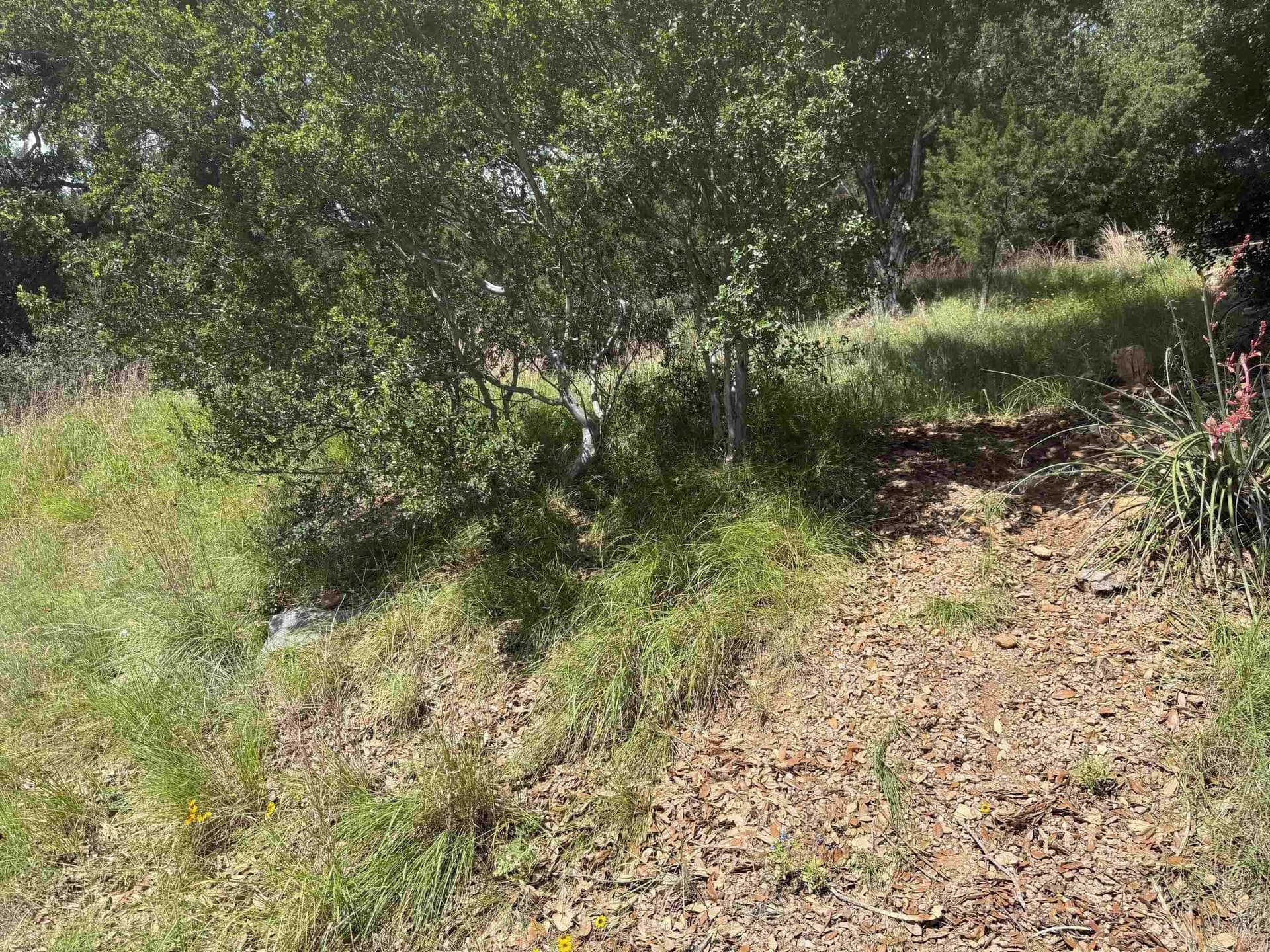 0.25 acres in Llano County gallery image 2