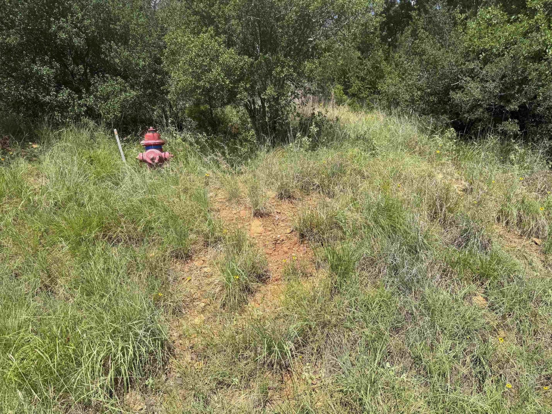 0.25 acres in Llano County - photo 17