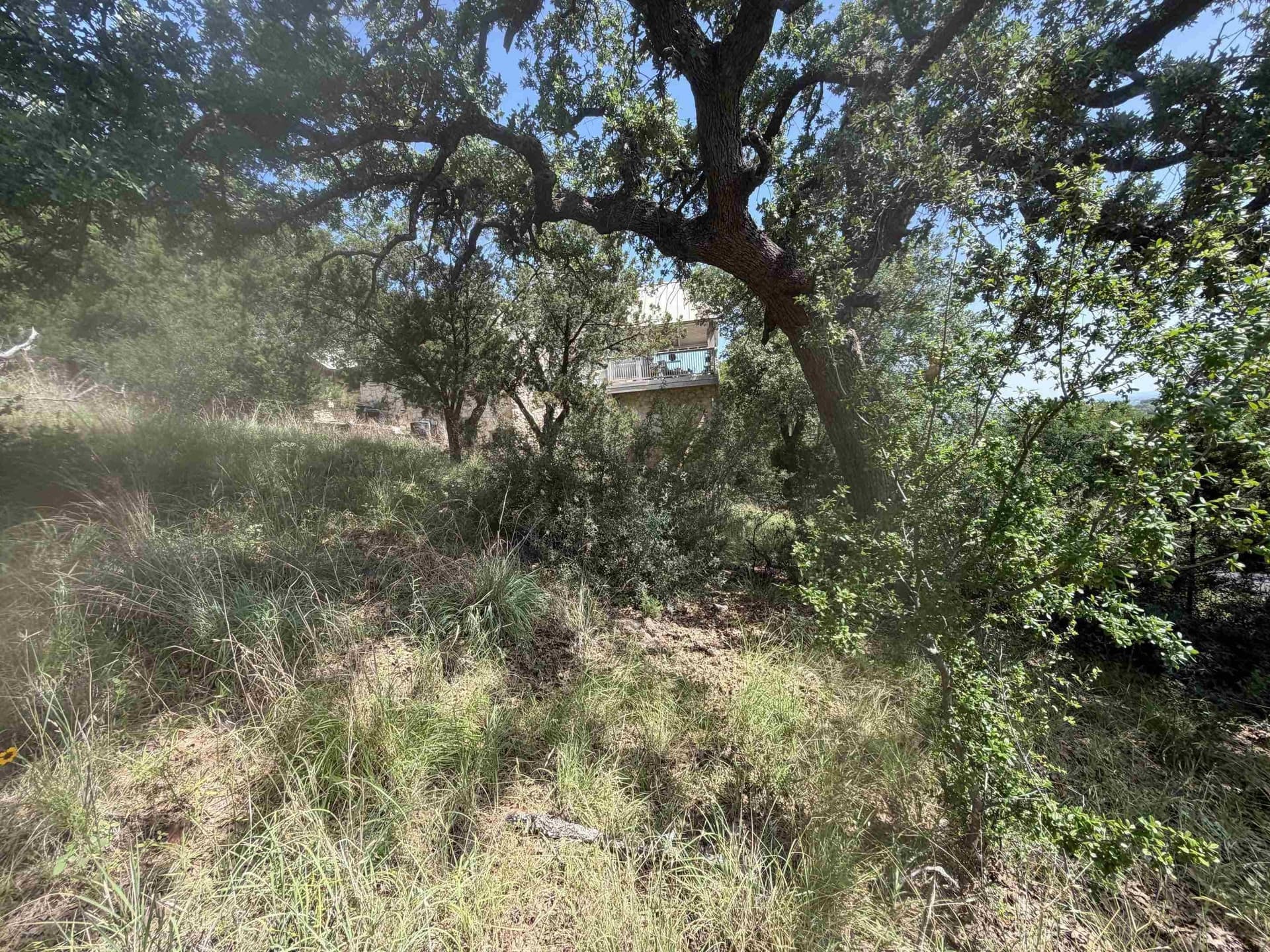 0.25 acres in Llano County - photo 6