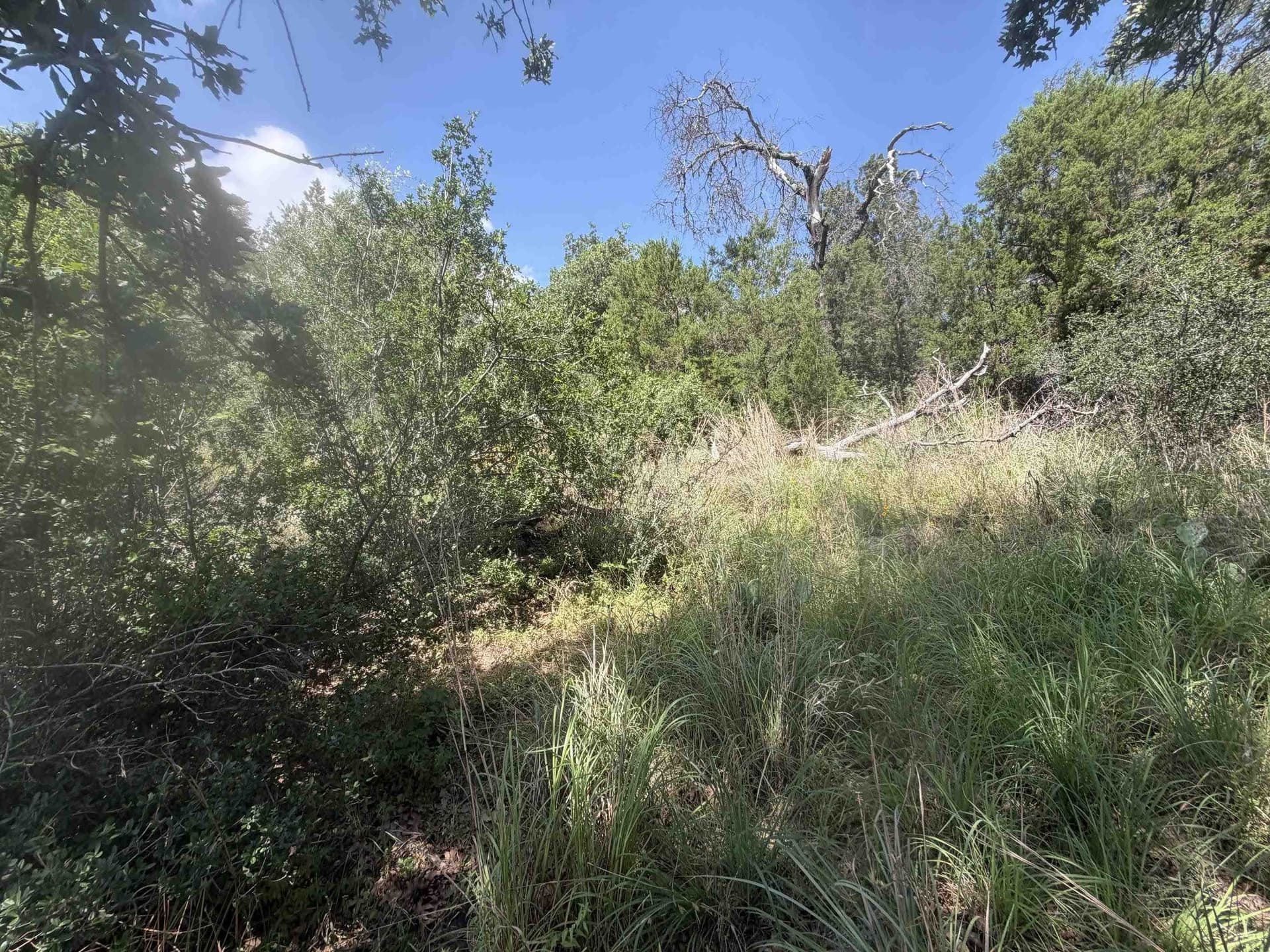 0.25 acres in Llano County - photo 10