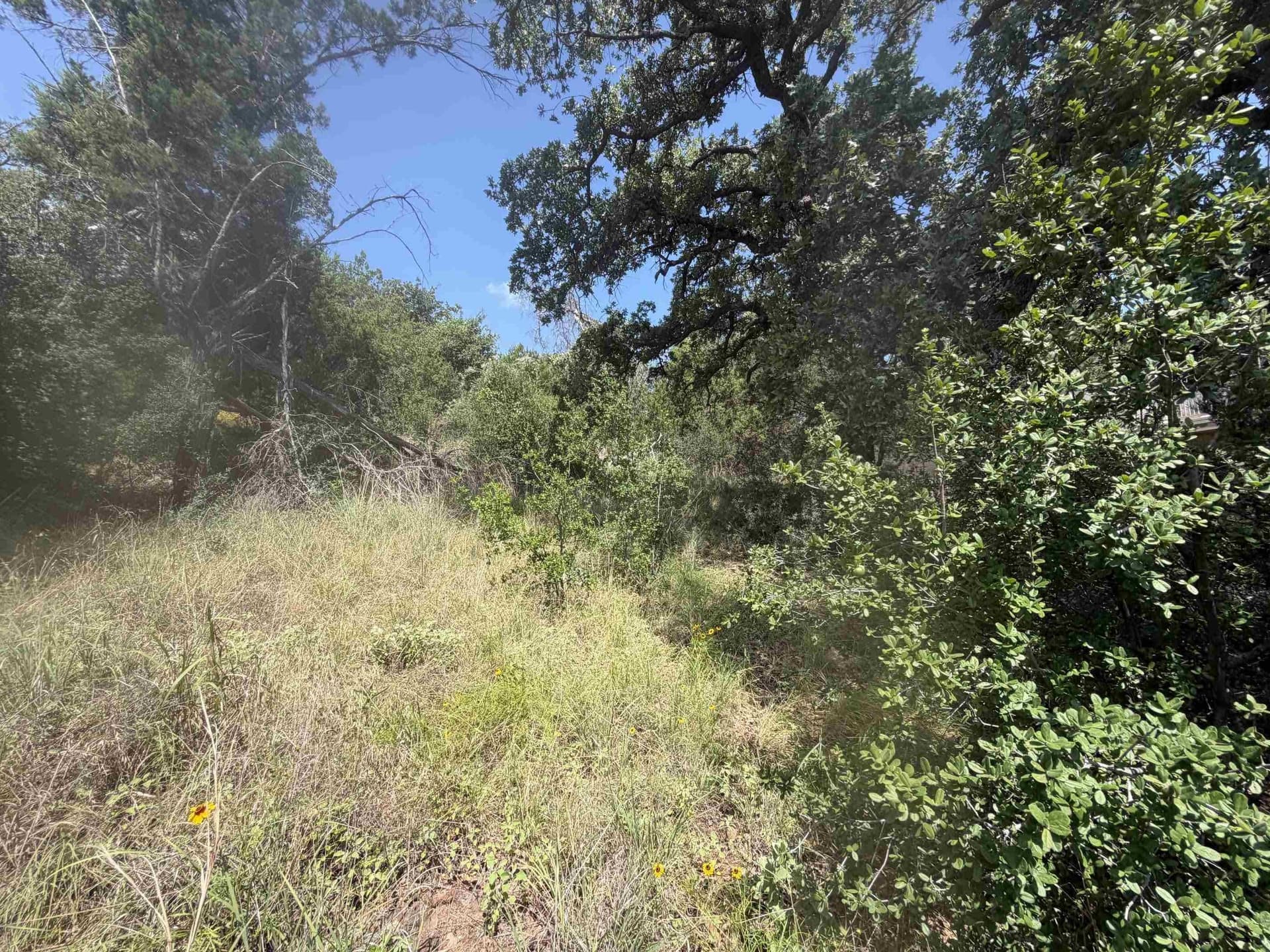 0.25 acres in Llano County - photo 16