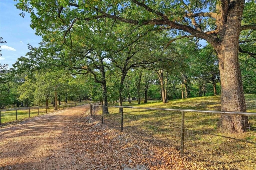 27 acres in Grayson County gallery image 4