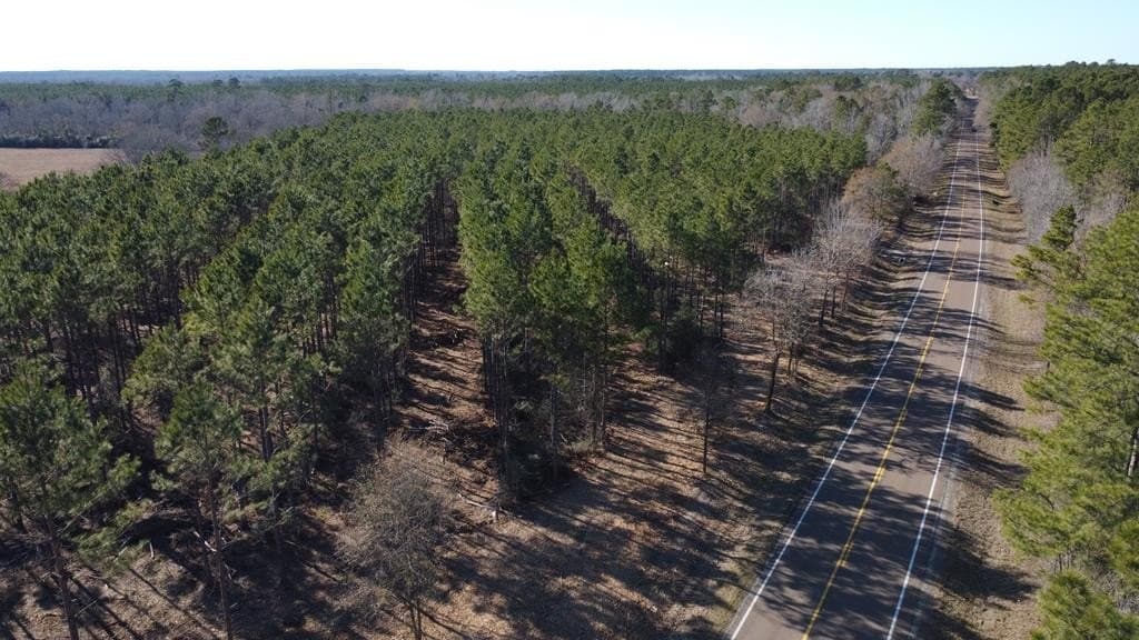 34 acres in Texas County - photo 18