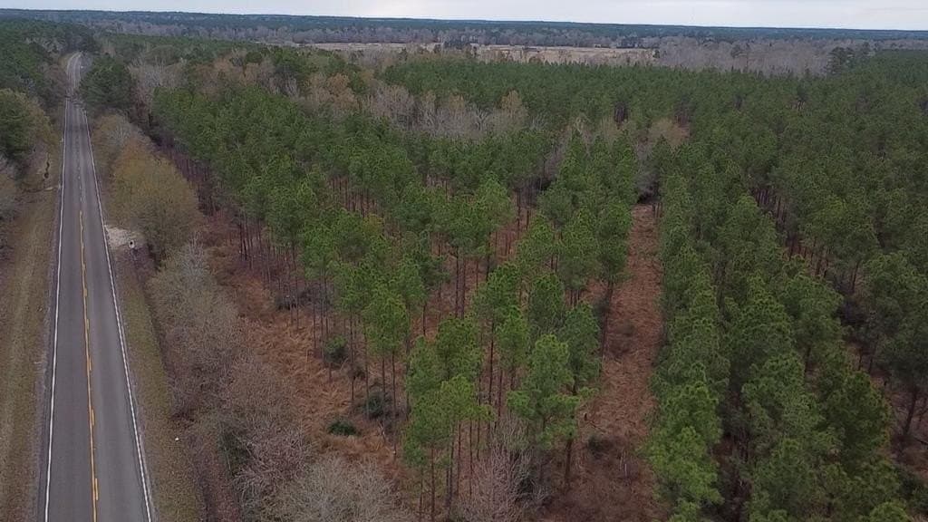 34 acres in Texas County - photo 11