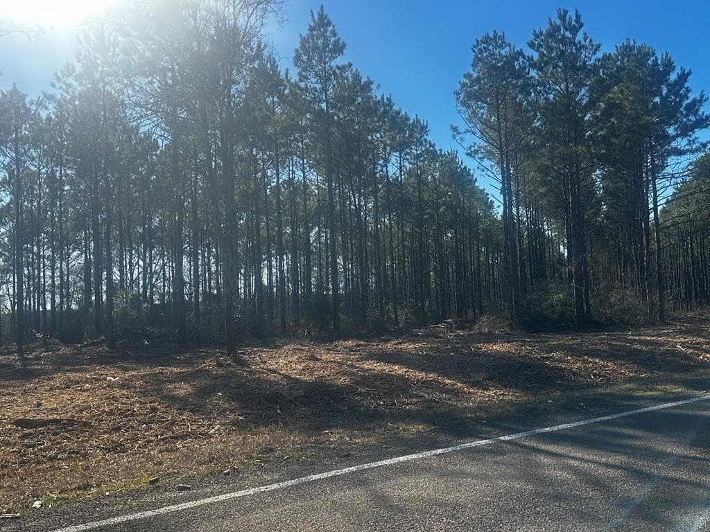 34 acres in Texas County - photo 23