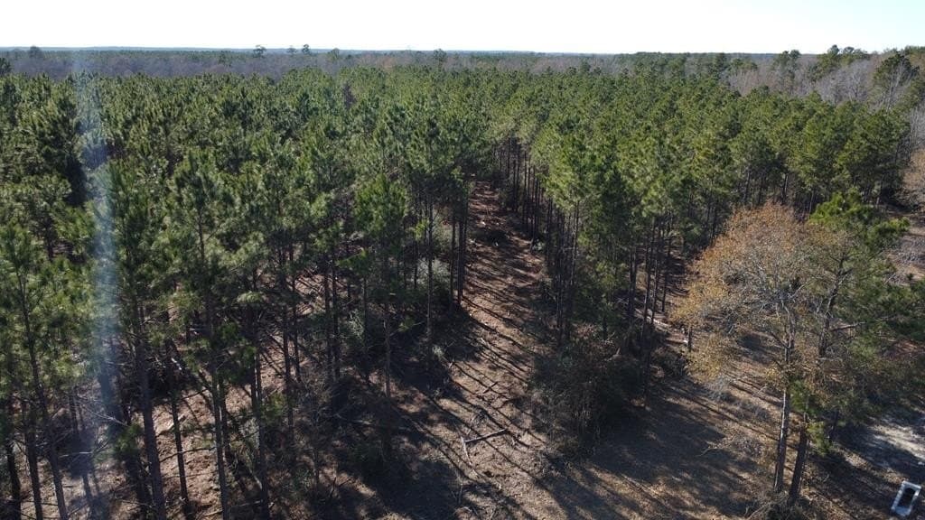 34 acres in Texas County - photo 22