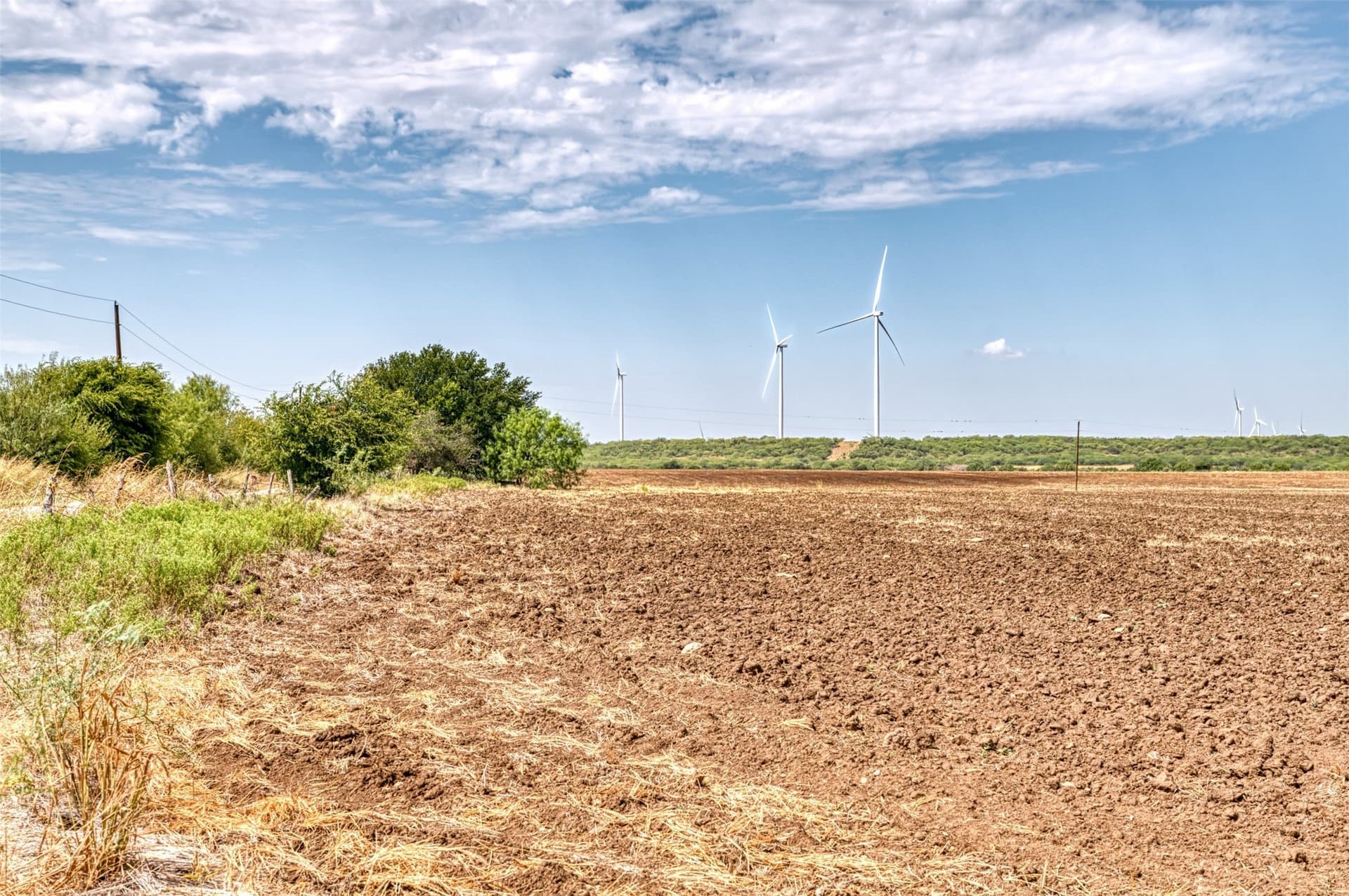 80 acres in Callahan County - photo 15