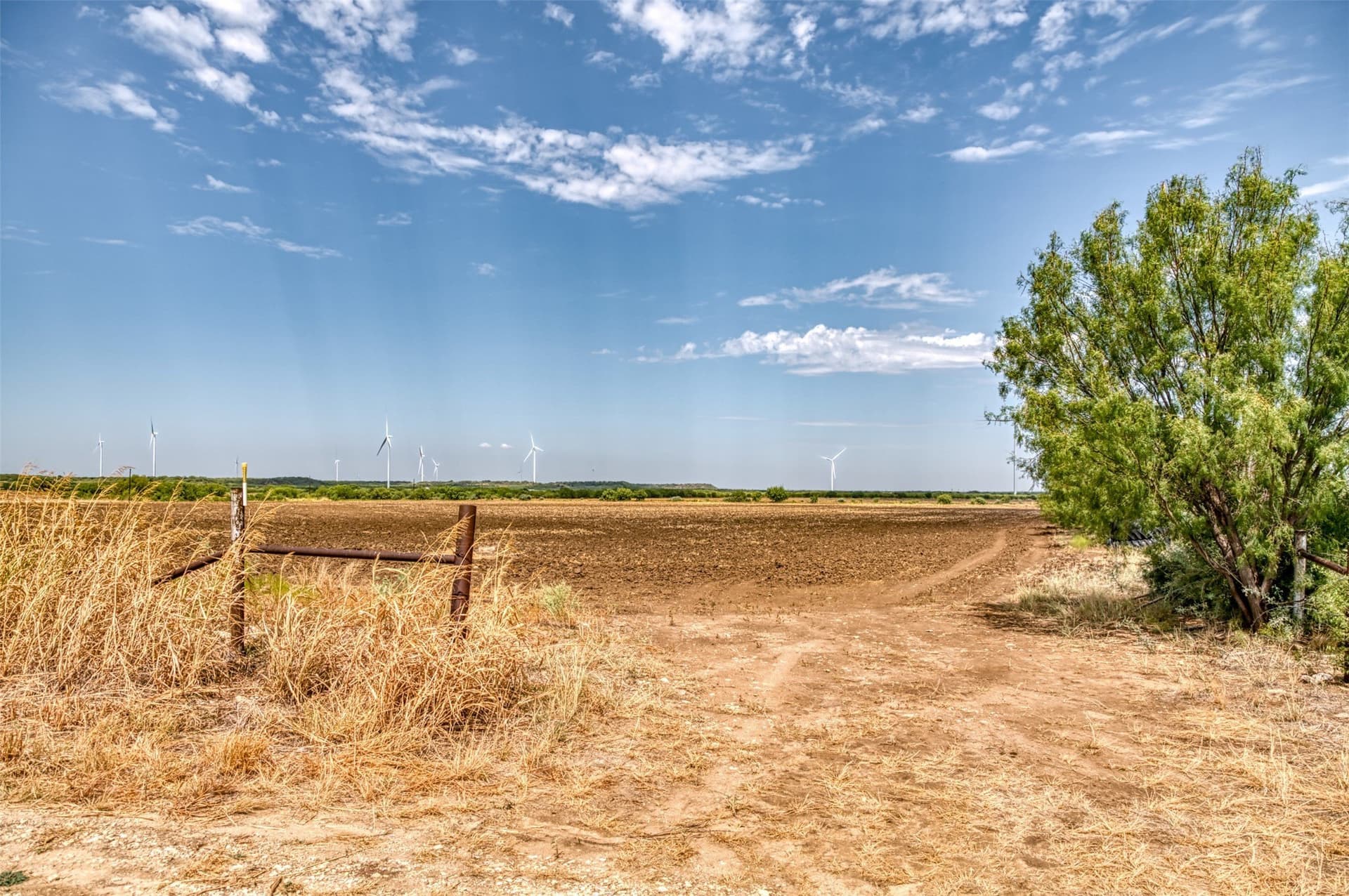 80 acres in Callahan County - photo 14