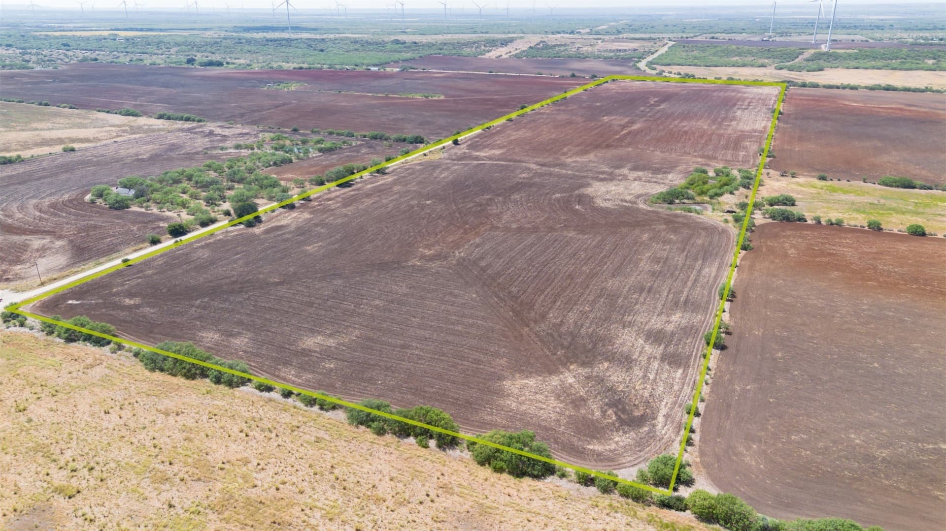 80 acres in Callahan County - photo 7