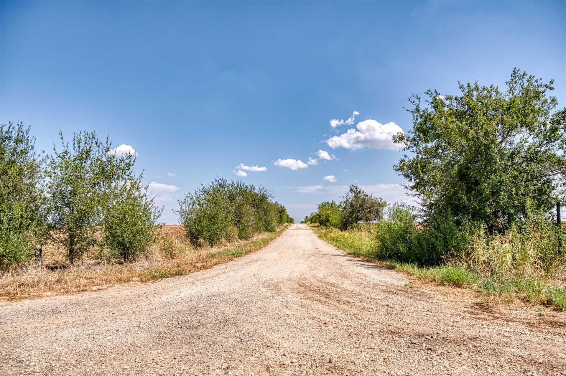 80 acres in Callahan County - photo 13