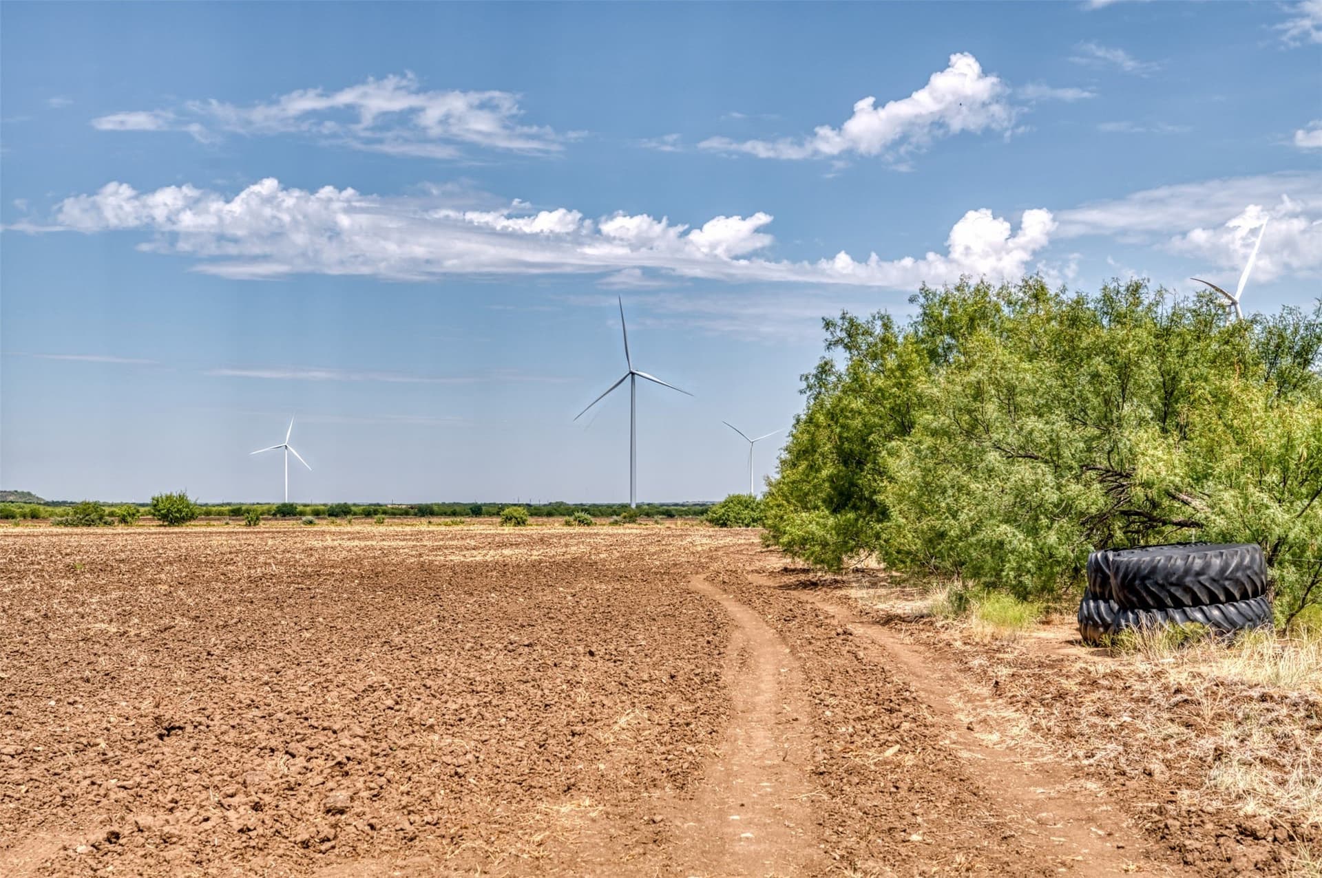 80 acres in Callahan County - photo 12