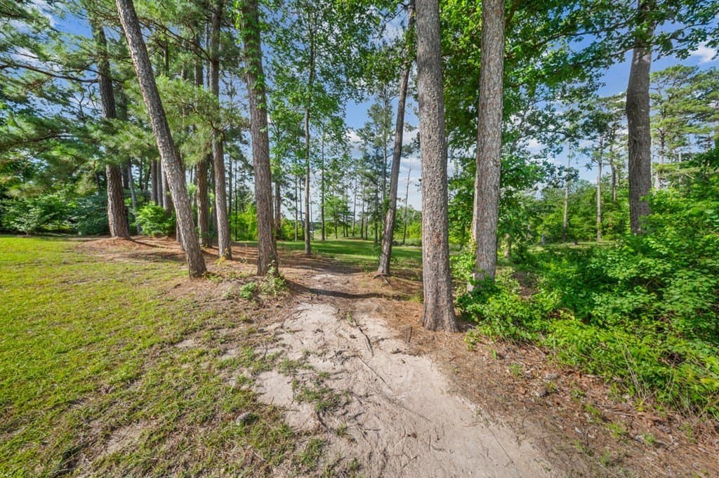 0.32 acres in Texas County gallery image 4