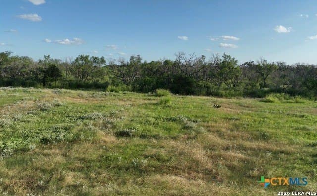 5.01 acres in Atascosa County - photo 5
