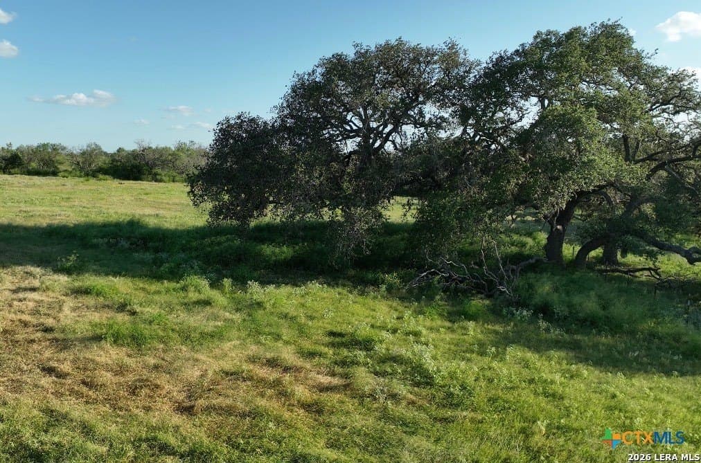 5.01 acres in Atascosa County - photo 3