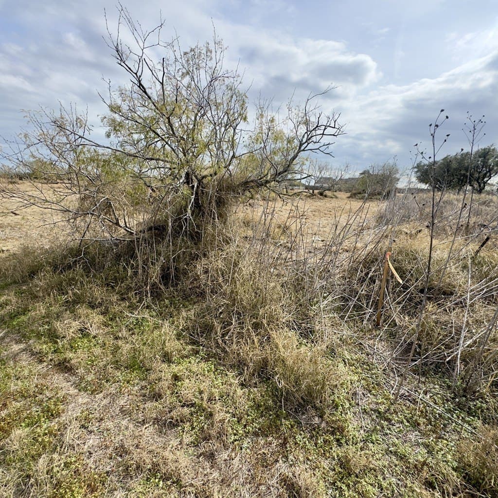 0 acres in Texas County featured view