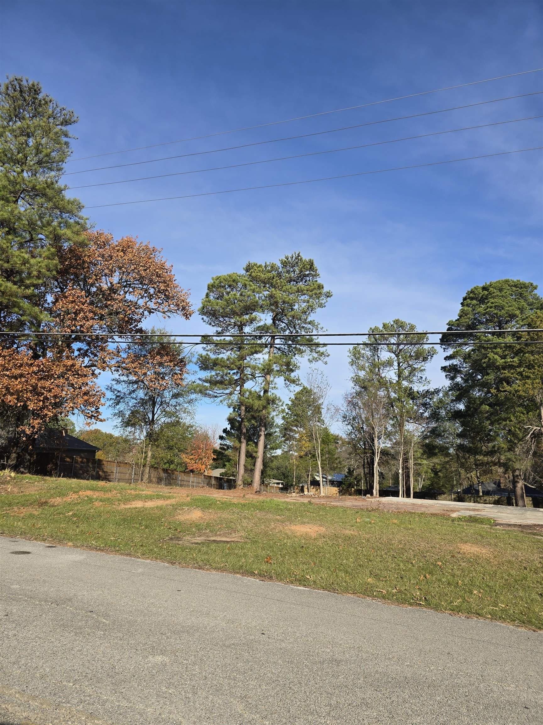 1.03 acres in Gregg County gallery image 2