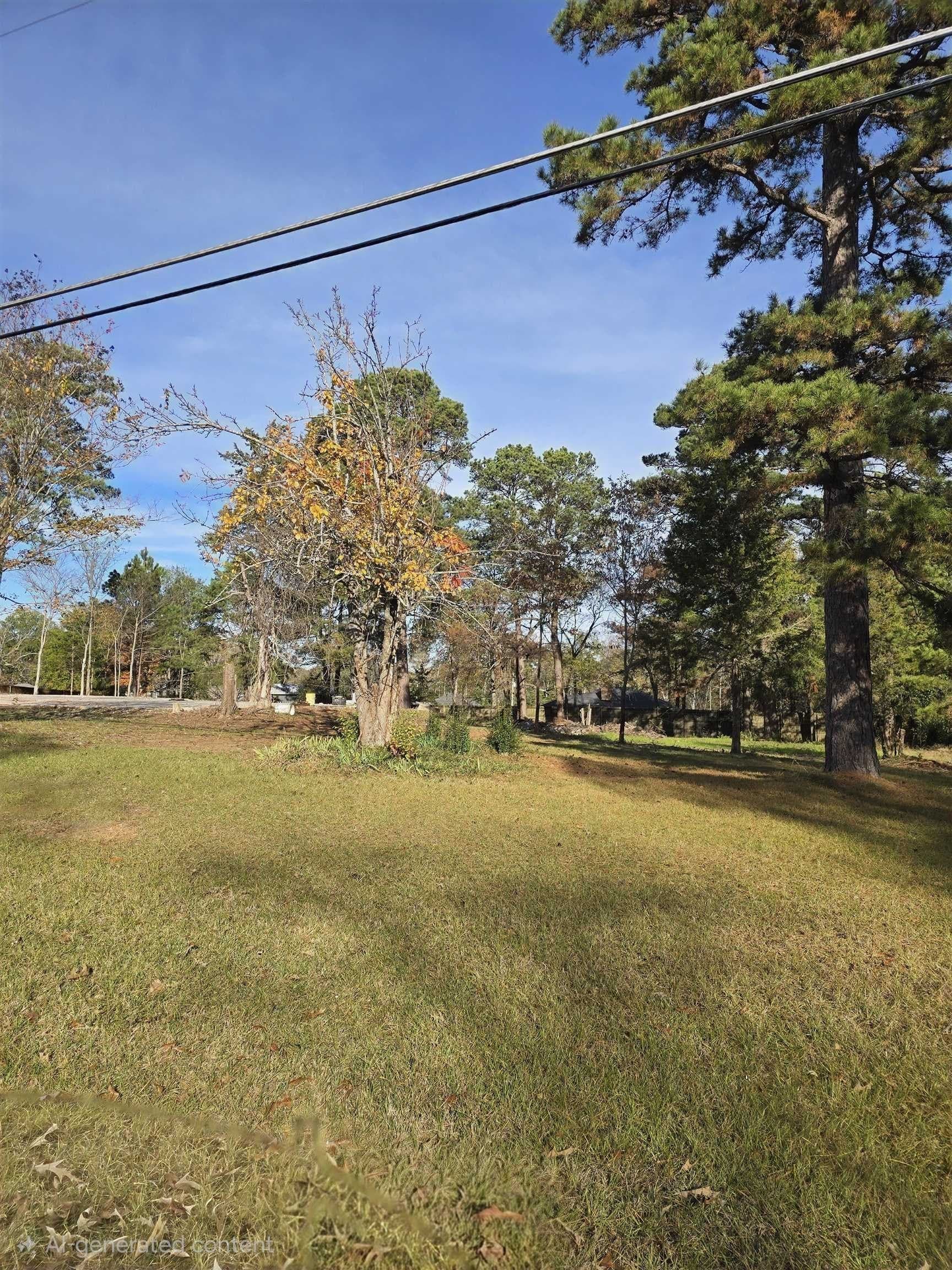 1.03 acres in Gregg County gallery image 4